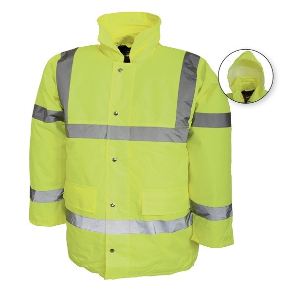 Scurta vatuita de iarna Bristol, art.5B34 ( 9189 )